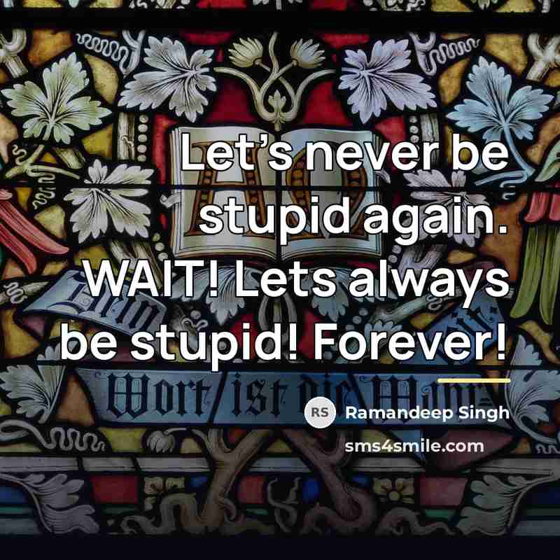 “Let's never be stupid again. WAIT! Lets always be stupid!…” quote by Ramandeep Singh