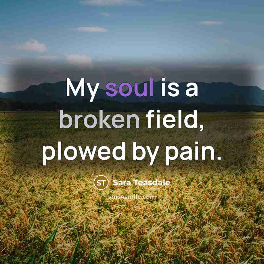 “My soul is a broken field, plowed by pain.…” quote by Sara Teasdale