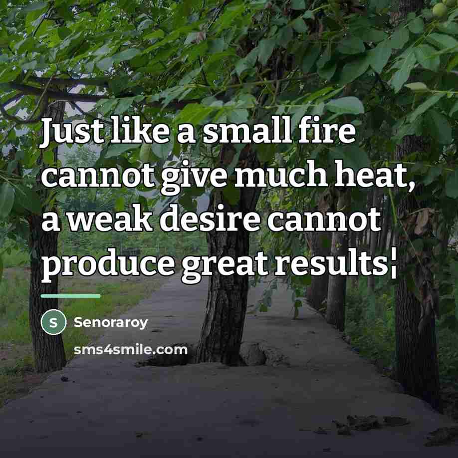 “Just like a small fire cannot give much heat, a…” quote by Senoraroy