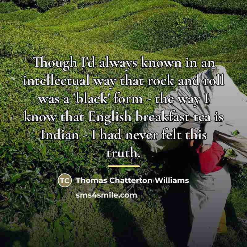 “Though I'd always known in an intellectual way that rock…” quote by Thomas Chatterton Williams