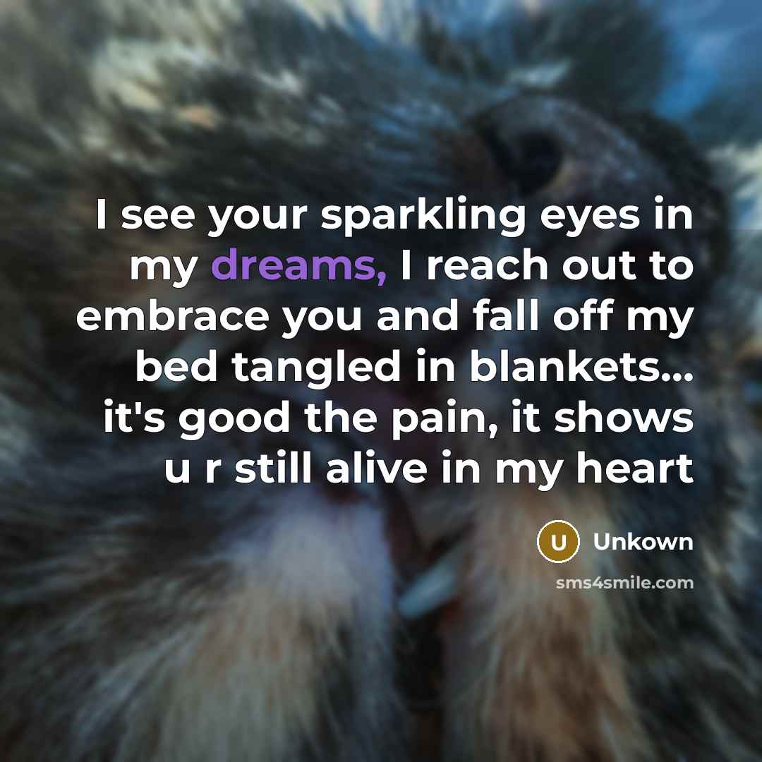 “I see your sparkling eyes in my dreams, I reach…” quote by Unkown