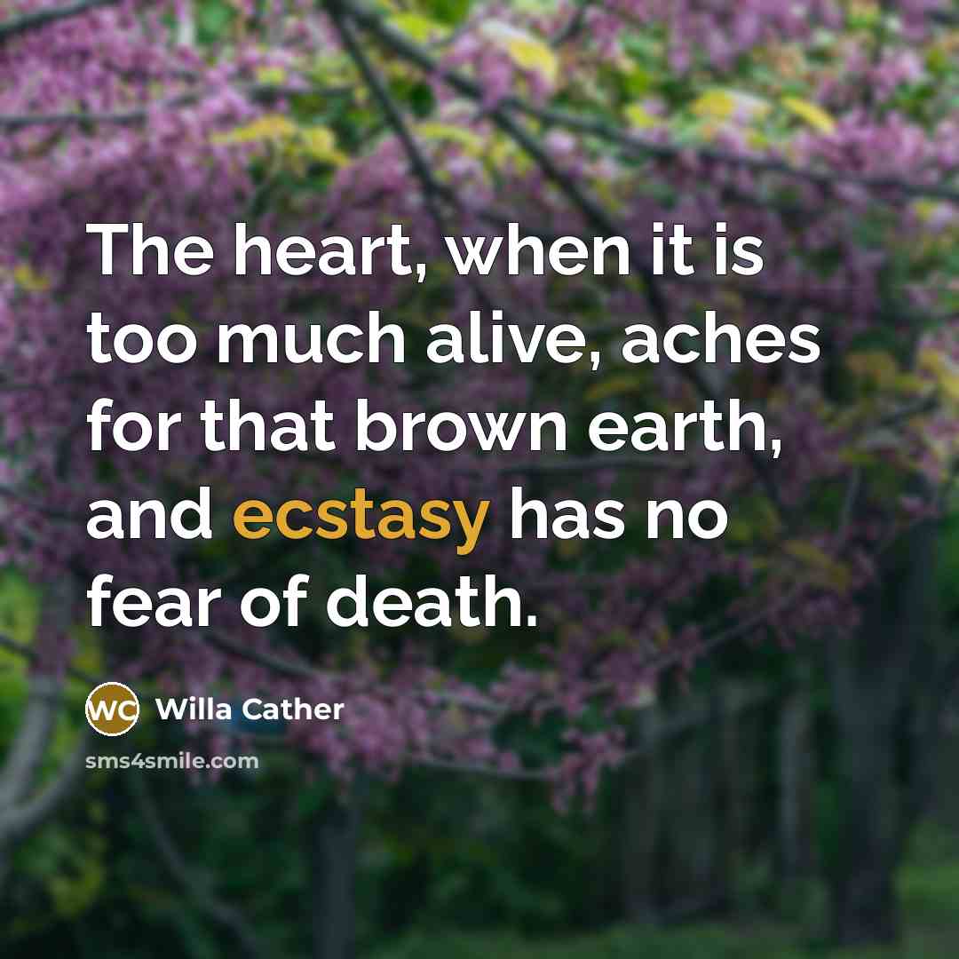 “The heart, when it is too much alive, aches for…” quote by Willa Cather