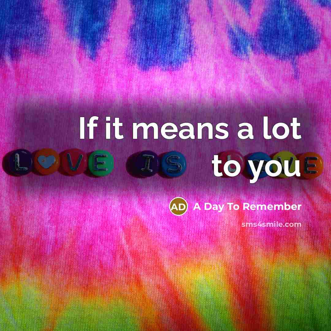 “If it means a lot to you…” quote by A Day To Remember