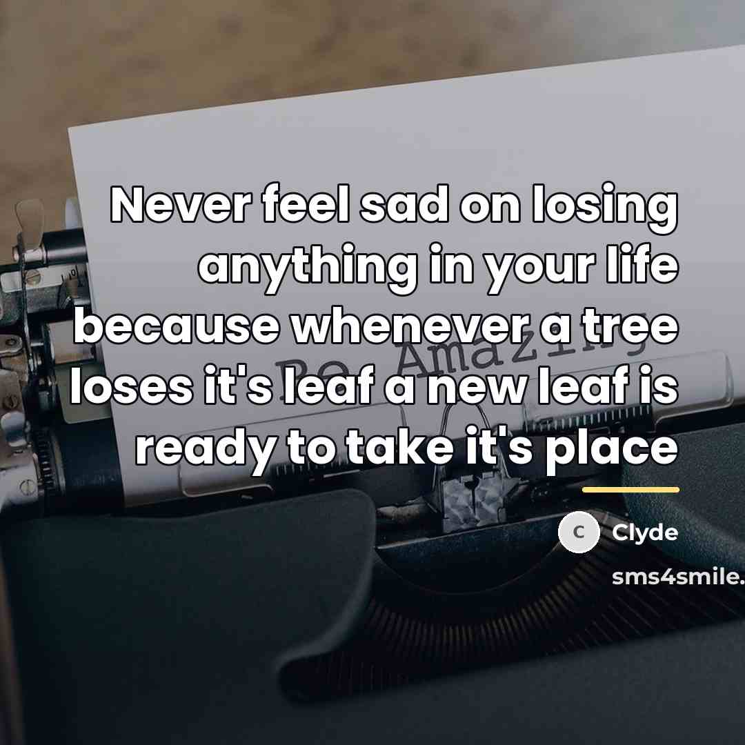 “Never feel sad on losing anything in your life because…” quote by Clyde