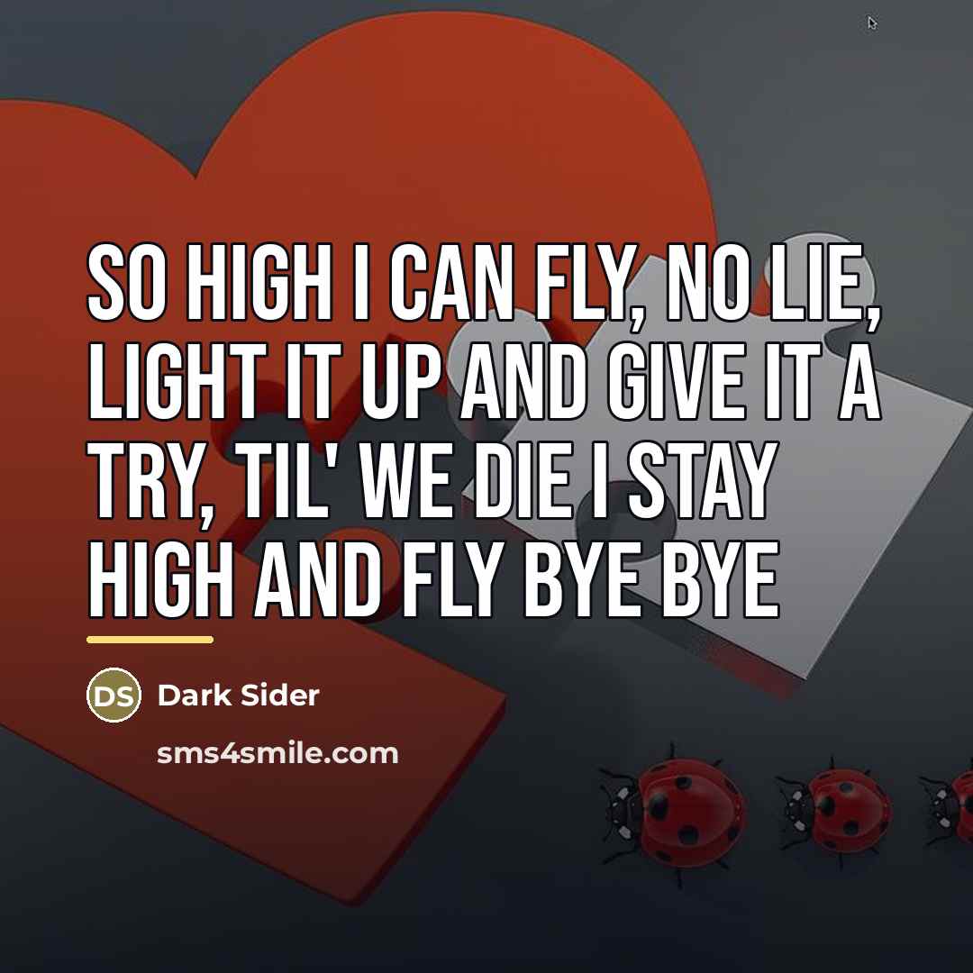 “So high I can fly, no lie, light it up…” quote by Dark Sider