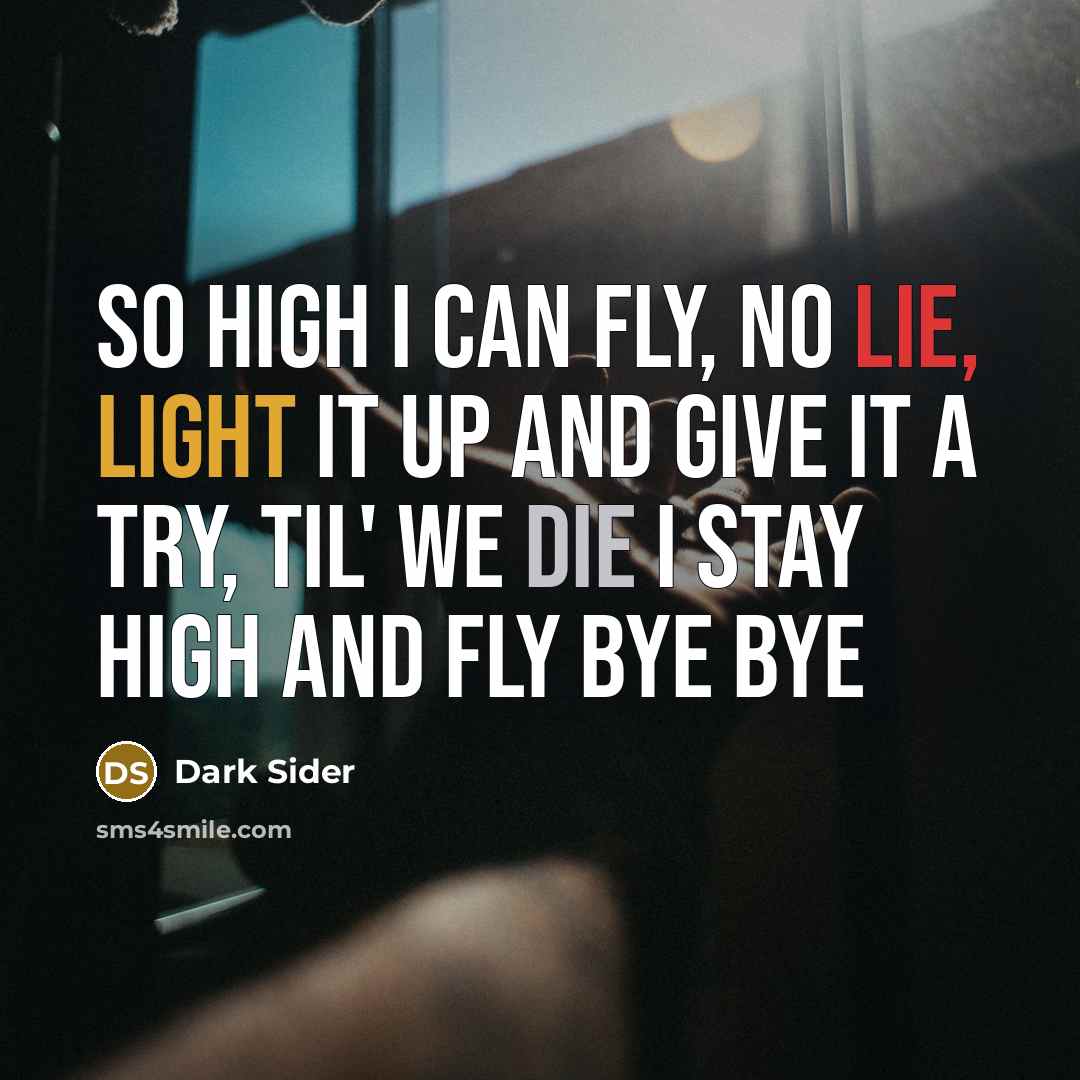 “So high I can fly, no lie, light it up and give it a try, til' we die I stay high and fly bye bye” quote by Dark Sider