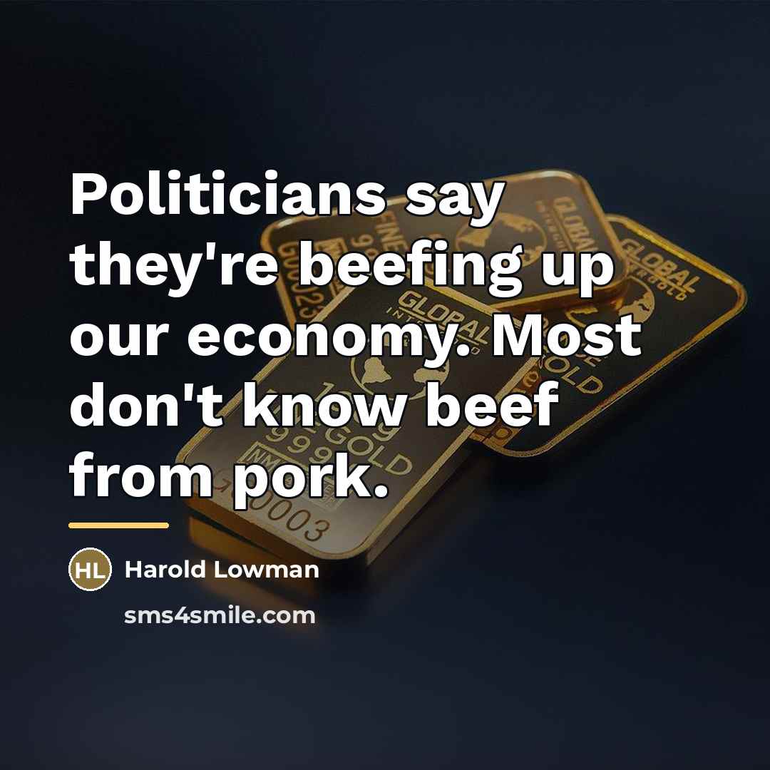 “Politicians say they're beefing up our economy. Most don't know…” quote by Harold Lowman