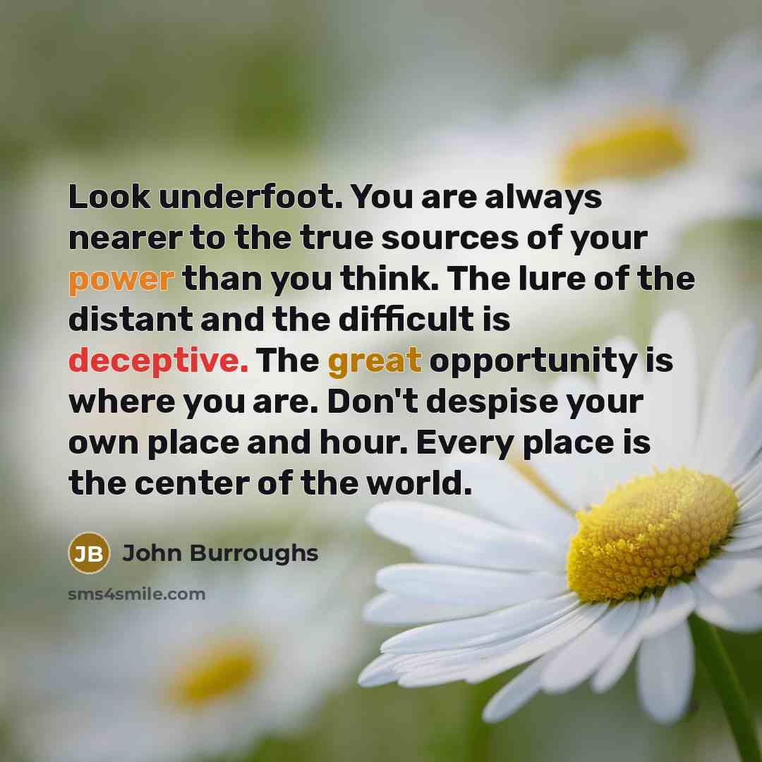 “Look underfoot. You are always nearer to the true sources…” quote by John Burroughs