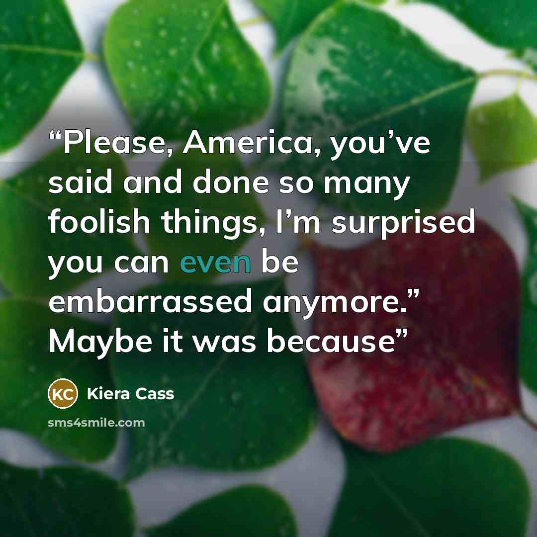 “Please, America, you’ve said and done so many foolish things, I’m surprised you can even be embarrassed anymore.” Maybe it was because” quote by Kiera Cass