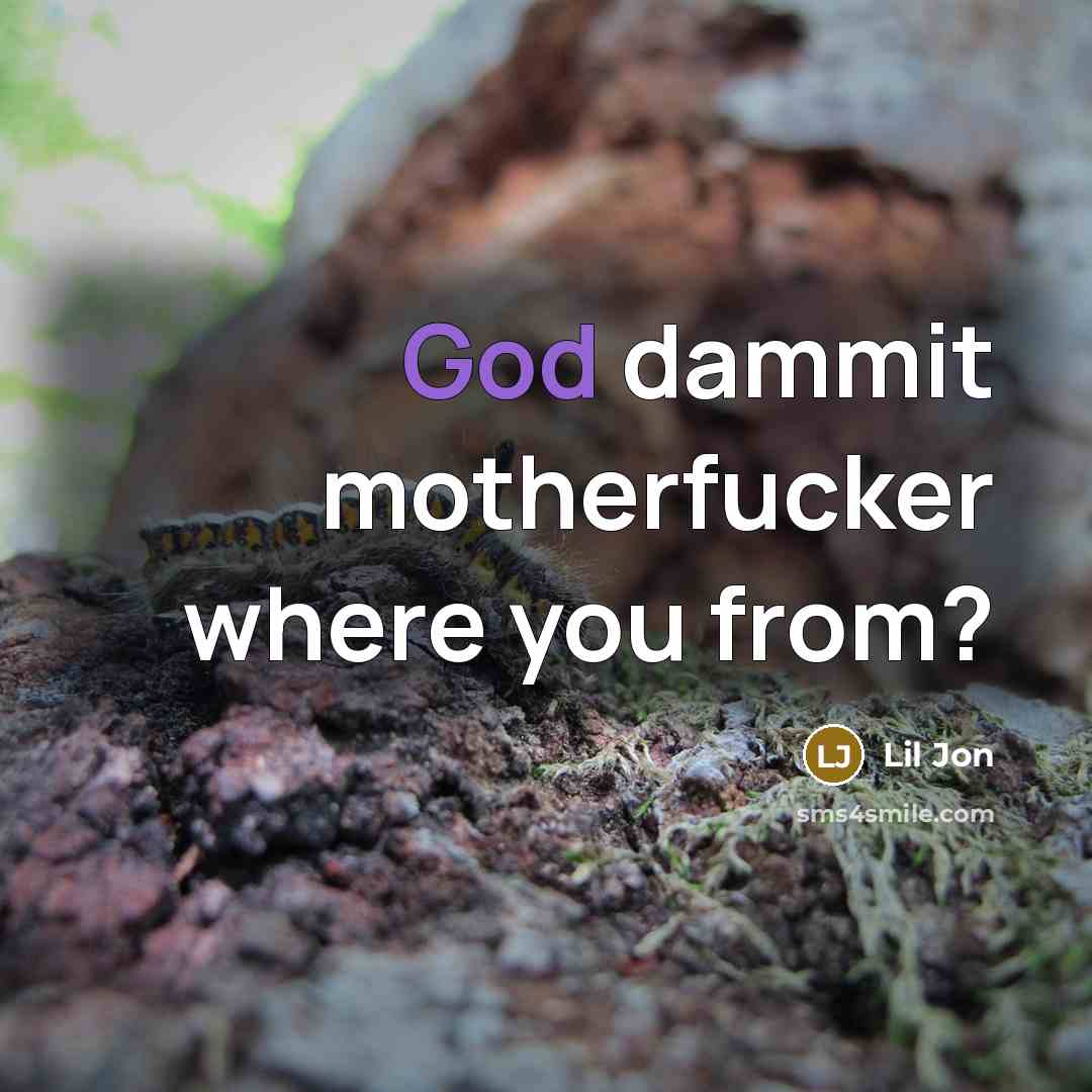 “God dammit motherfucker where you from?” quote by Lil Jon