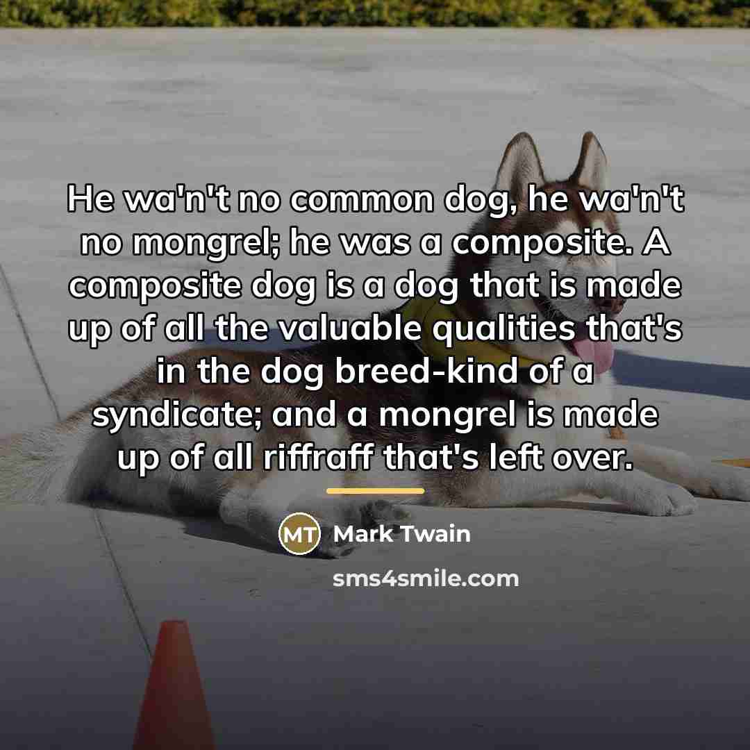 “He wa'n't no common dog, he wa'n't no mongrel; he…” quote by Mark Twain