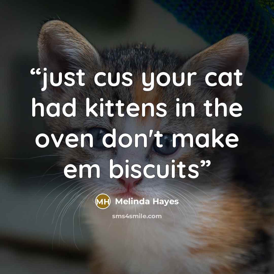 “just cus your cat had kittens in the oven don't make em biscuits” quote by Melinda Hayes