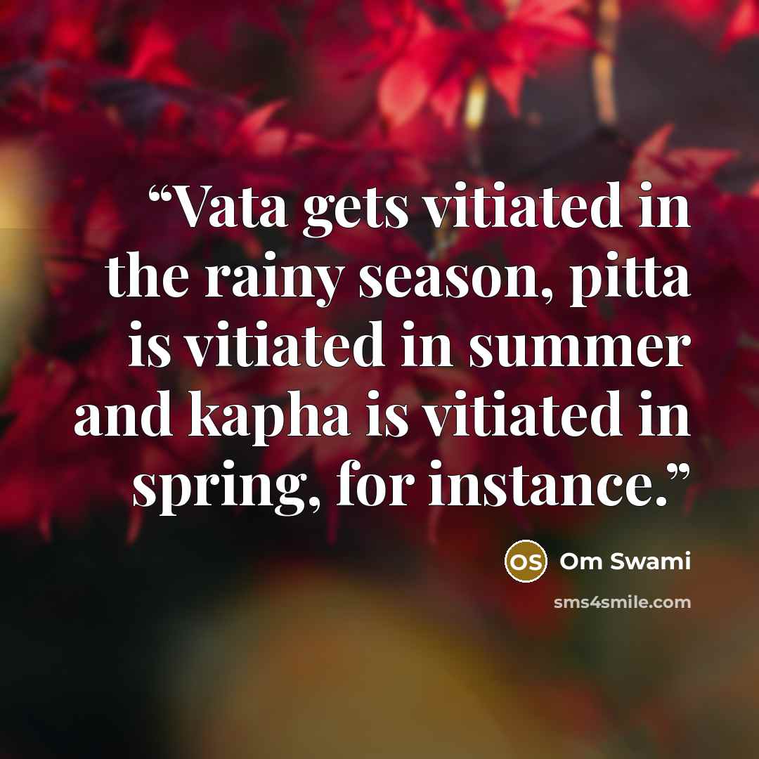 “Vata gets vitiated in the rainy season, pitta is vitiated in summer and kapha is vitiated in spring, for instance.” quote by Om Swami
