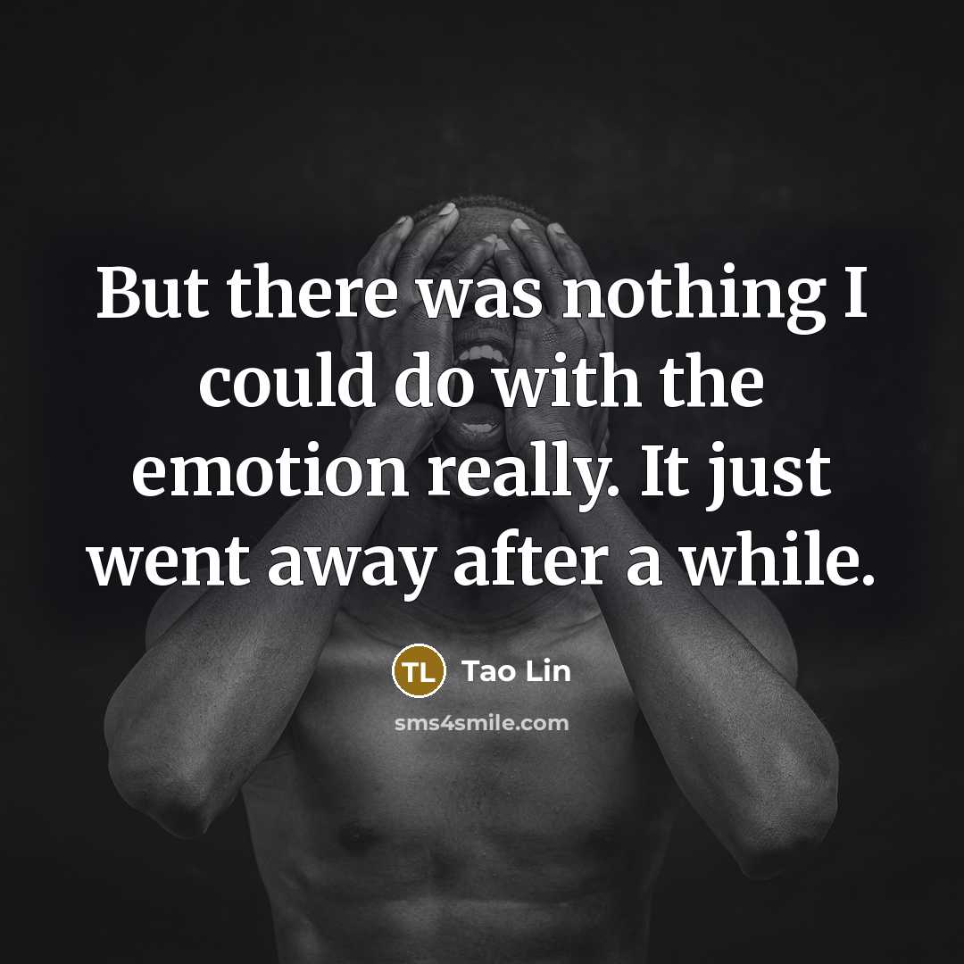 “But there was nothing I could do with the emotion…” quote by Tao Lin