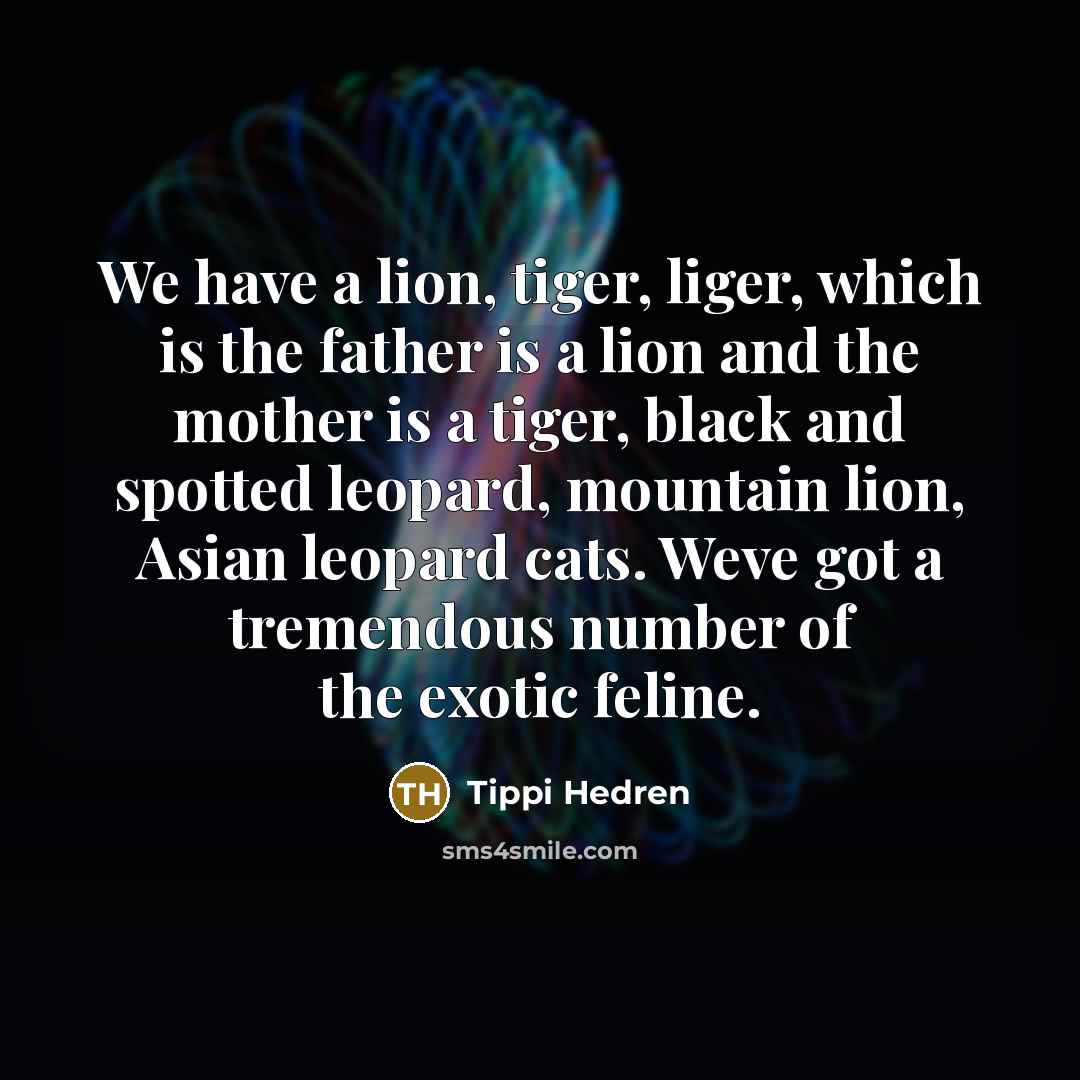 “We have a lion, tiger, liger, which is the father…” quote by Tippi Hedren