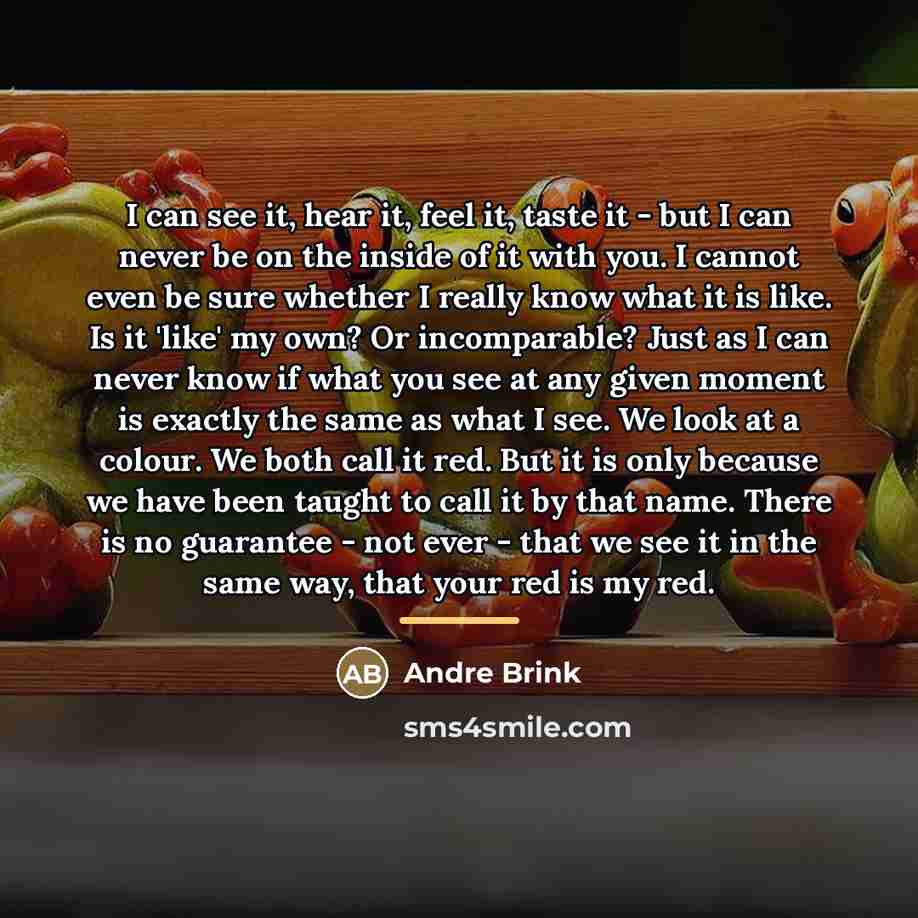 “I can see it, hear it, feel it, taste it…” quote by André Brink
