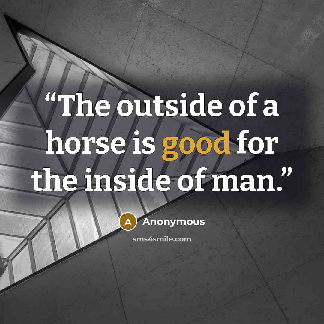 “The outside of a horse is good for the inside of man.” quote by Anonymous
