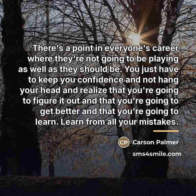 “There's a point in everyone's career where they're not going…” quote by Carson Palmer