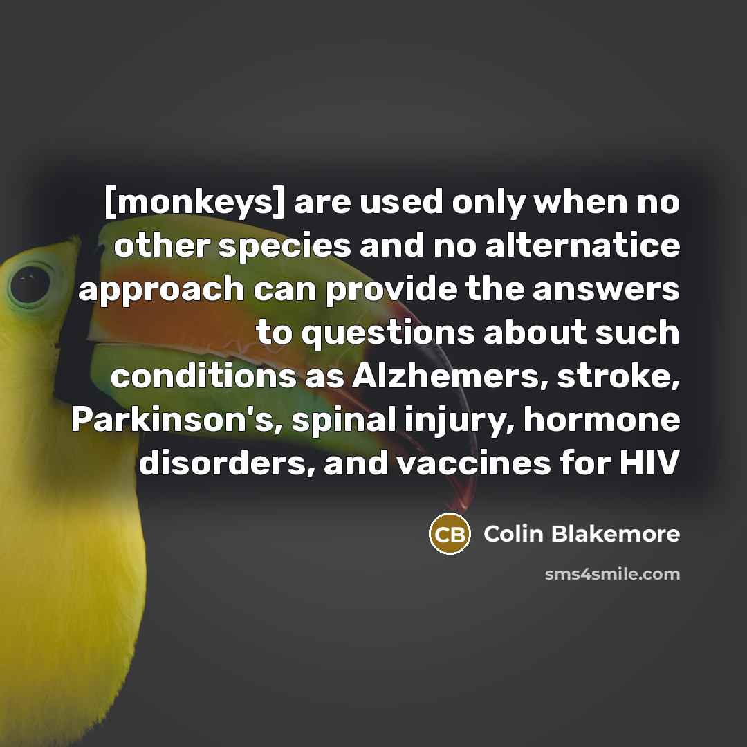“[monkeys] are used only when no other species and no…” quote by Colin Blakemore
