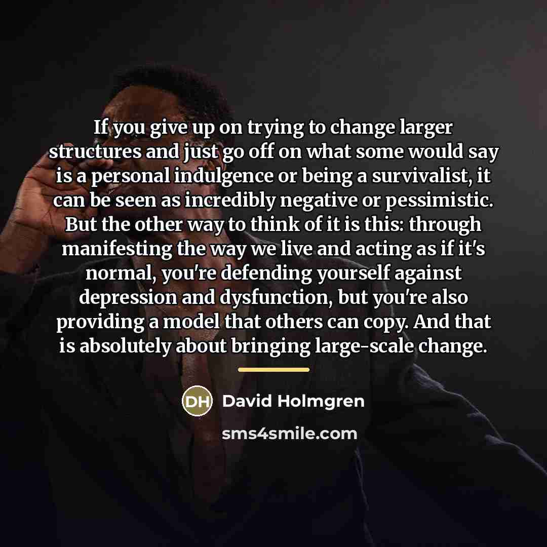 “If you give up on trying to change larger structures…” quote by David Holmgren