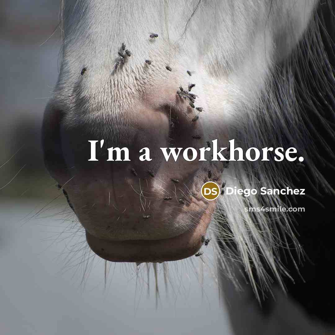 “I'm a workhorse.” quote by Diego Sanchez