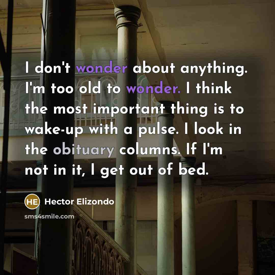 “I don't wonder about anything. I'm too old to wonder.…” quote by Hector Elizondo