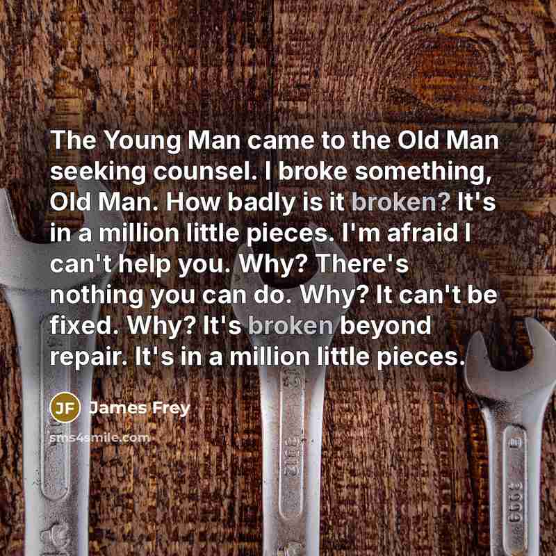 “The Young Man came to the Old Man seeking counsel.…” quote by James Frey
