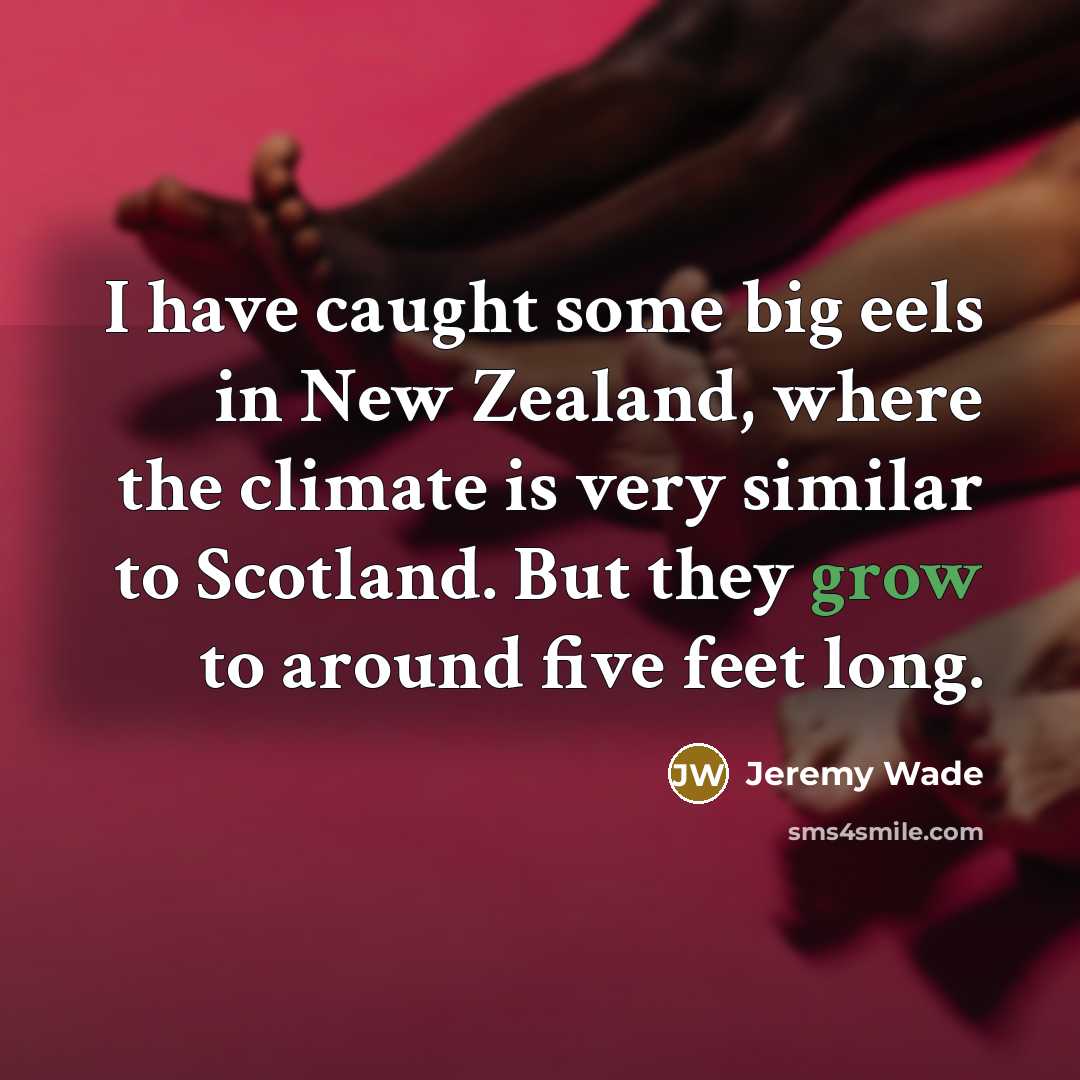 “I have caught some big eels in New Zealand, where…” quote by Jeremy Wade