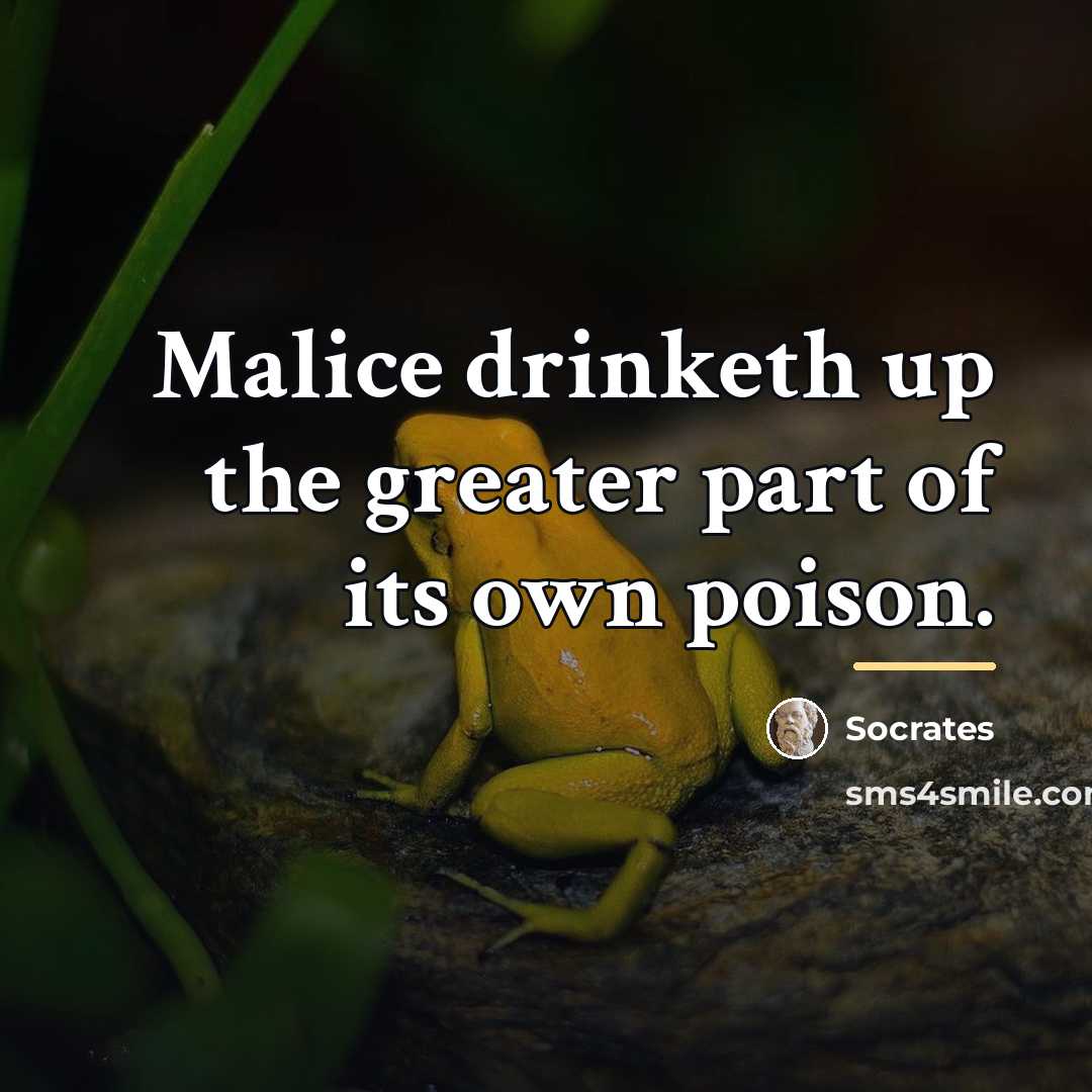 “Malice drinketh up the greater part of its own poison.…” quote by Socrates