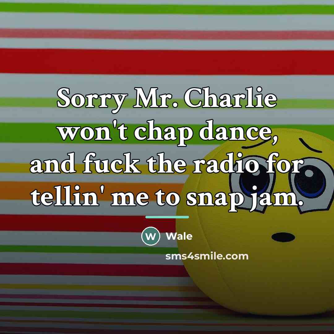 “Sorry Mr. Charlie won't chap dance, and fuck the radio…” quote by Wale