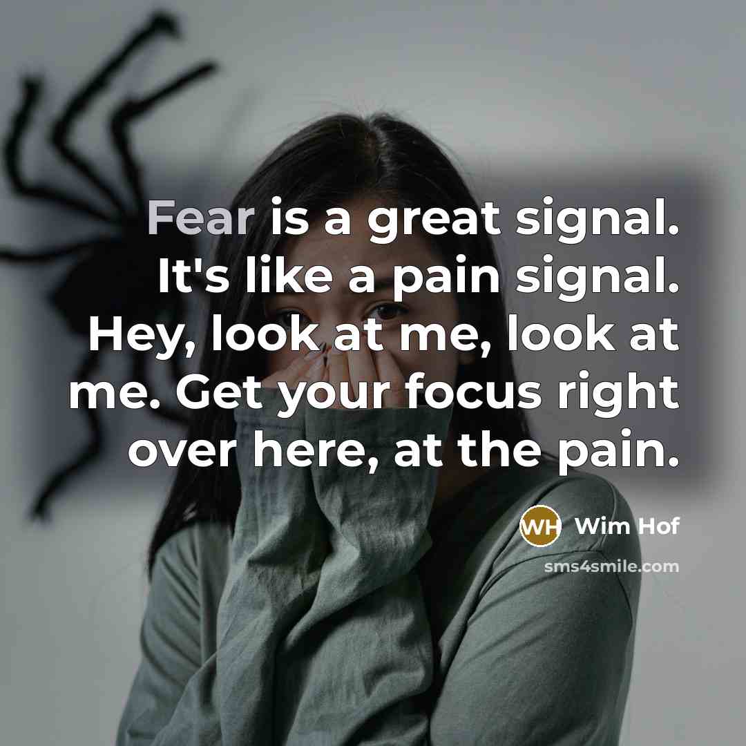 “Fear is a great signal. It's like a pain signal.…” quote by Wim Hof