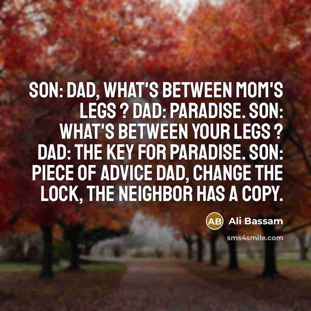 “Son: Dad, What's Between Mom's Legs ? Dad: Paradise. Son:…” quote by Ali Bassam