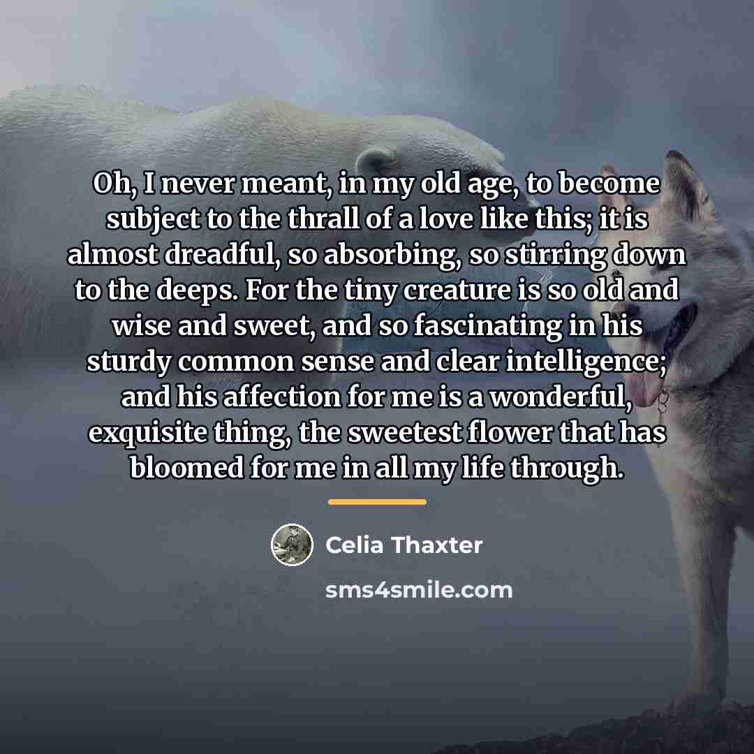 “Oh, I never meant, in my old age, to become…” quote by Celia Thaxter