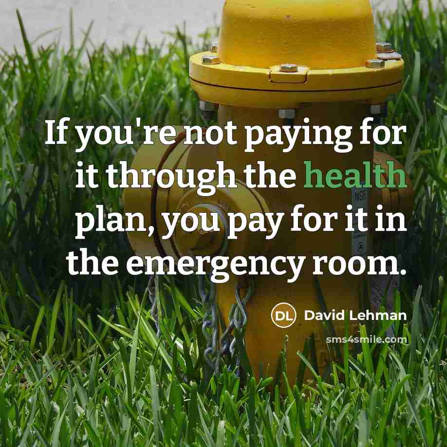 “If you're not paying for it through the health plan,…” quote by David Lehman