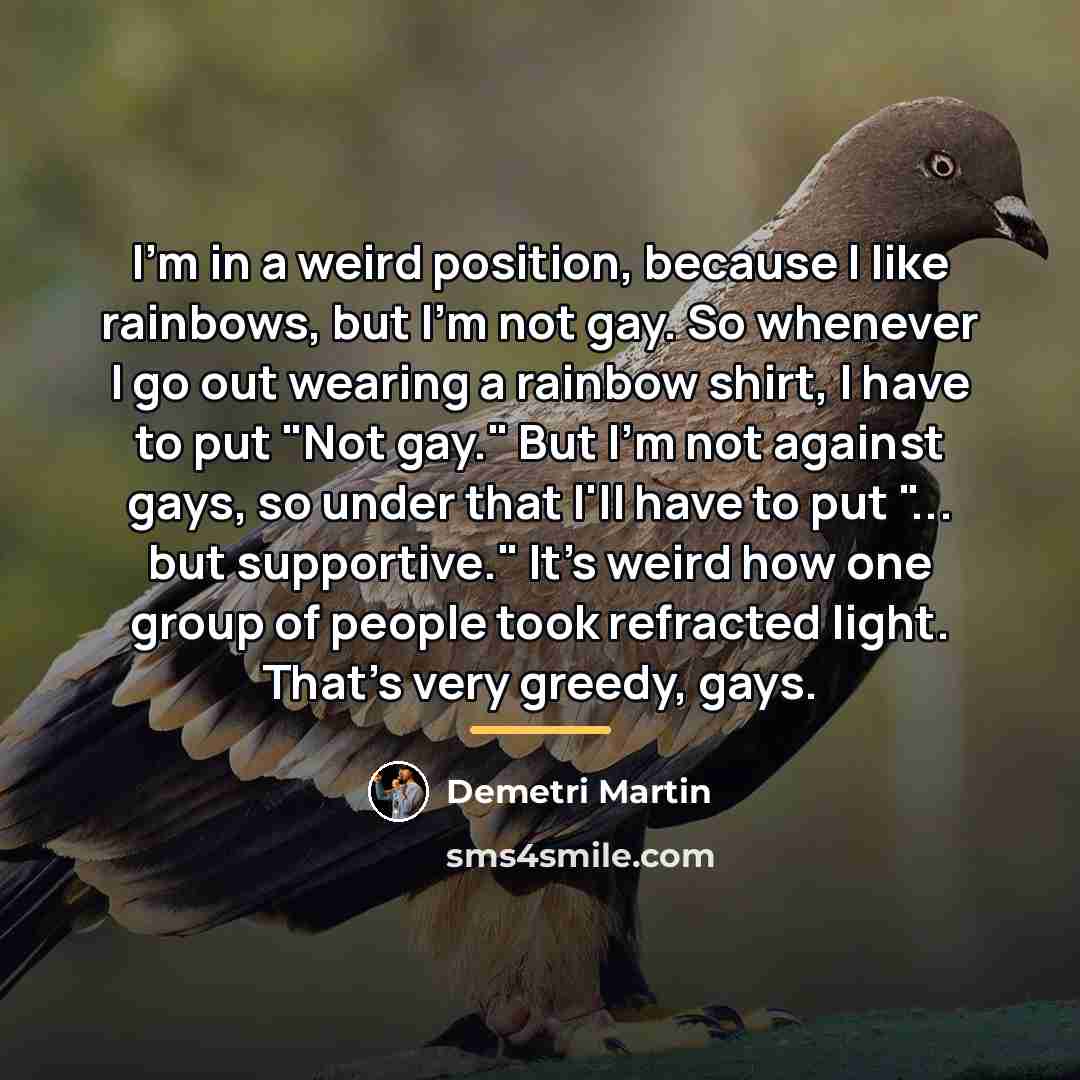 “I'm in a weird position, because I like rainbows, but…” quote by Demetri Martin