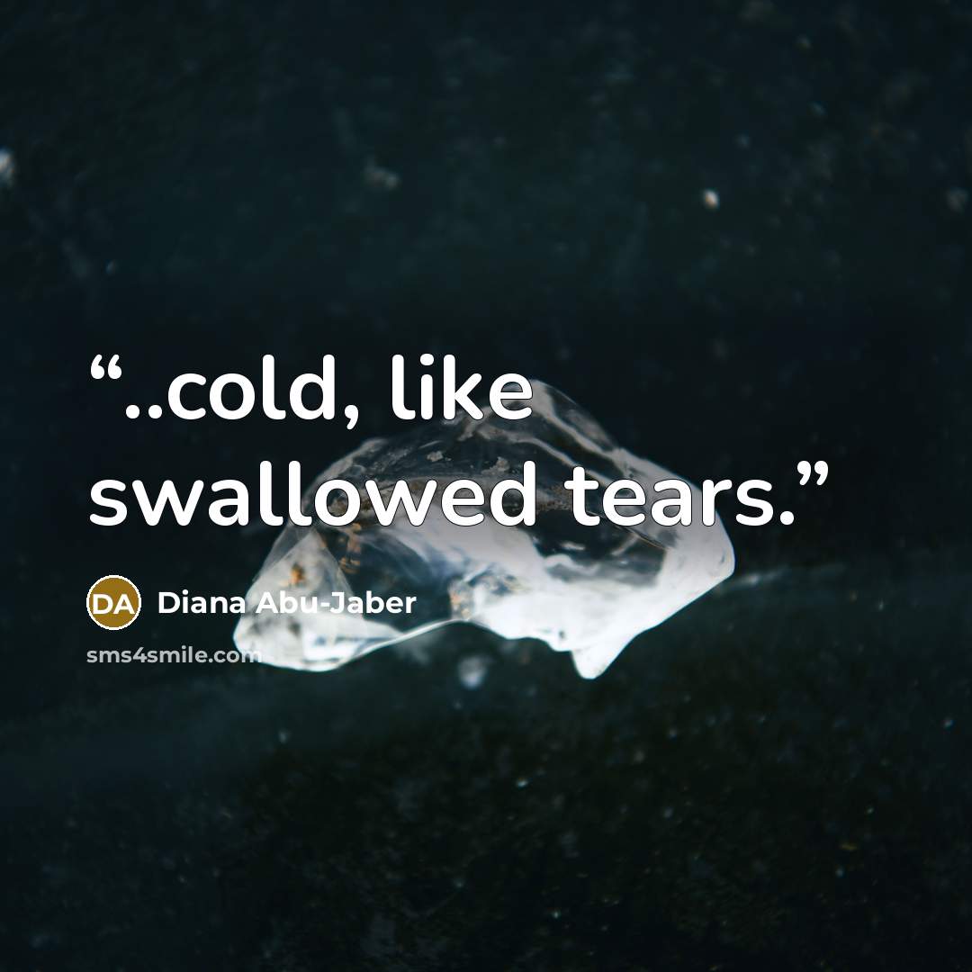 “..cold, like swallowed tears.” quote by Diana Abu-Jaber
