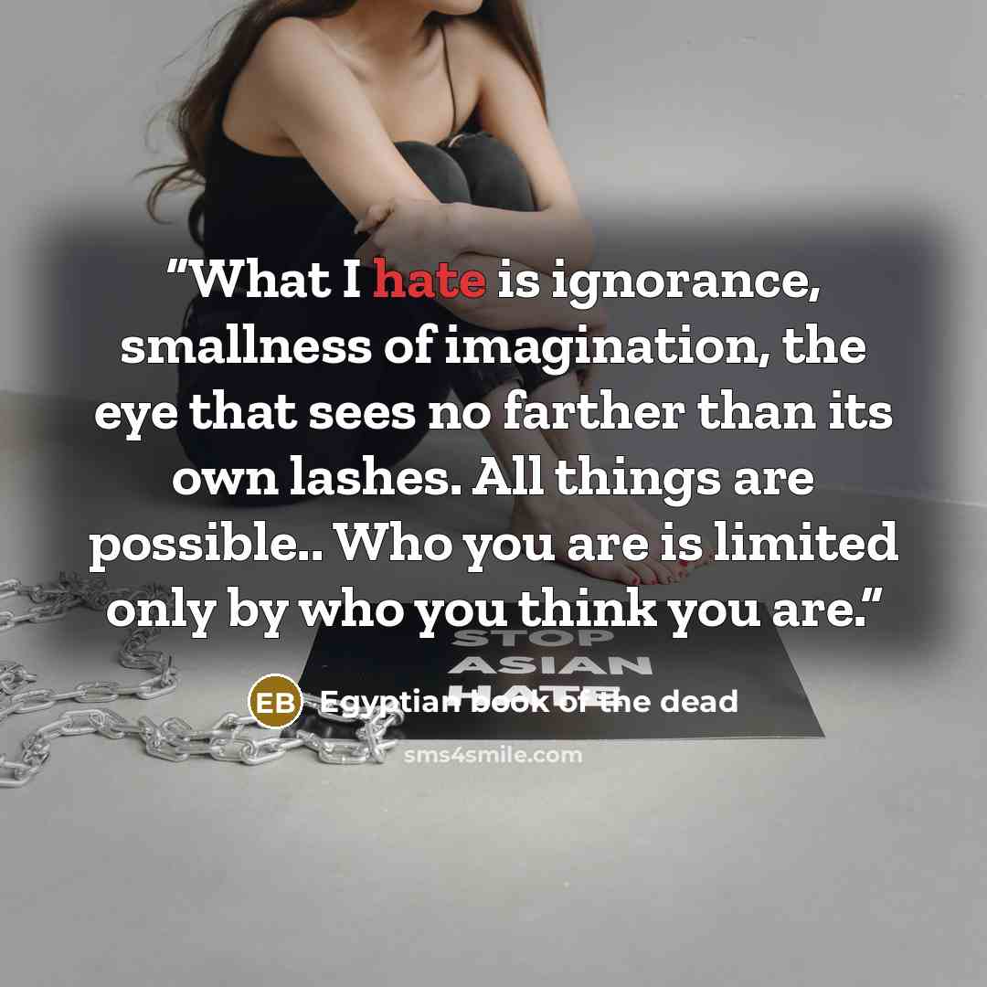 “What I hate is ignorance, smallness of imagination, the eye that sees no farther than its own lashes. All things are possible.. Who you are is limited only by who you think you are.” quote by Egyptian book of the dead