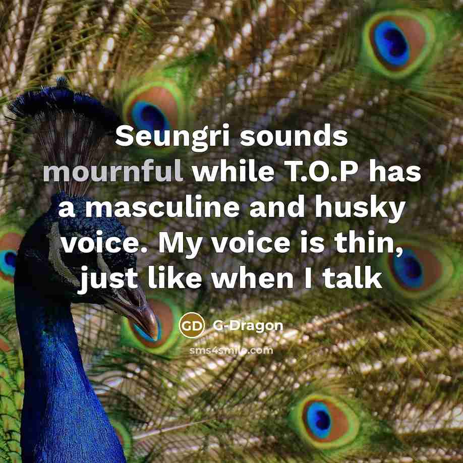 “Seungri sounds mournful while T.O.P has a masculine and husky…” quote by G-Dragon
