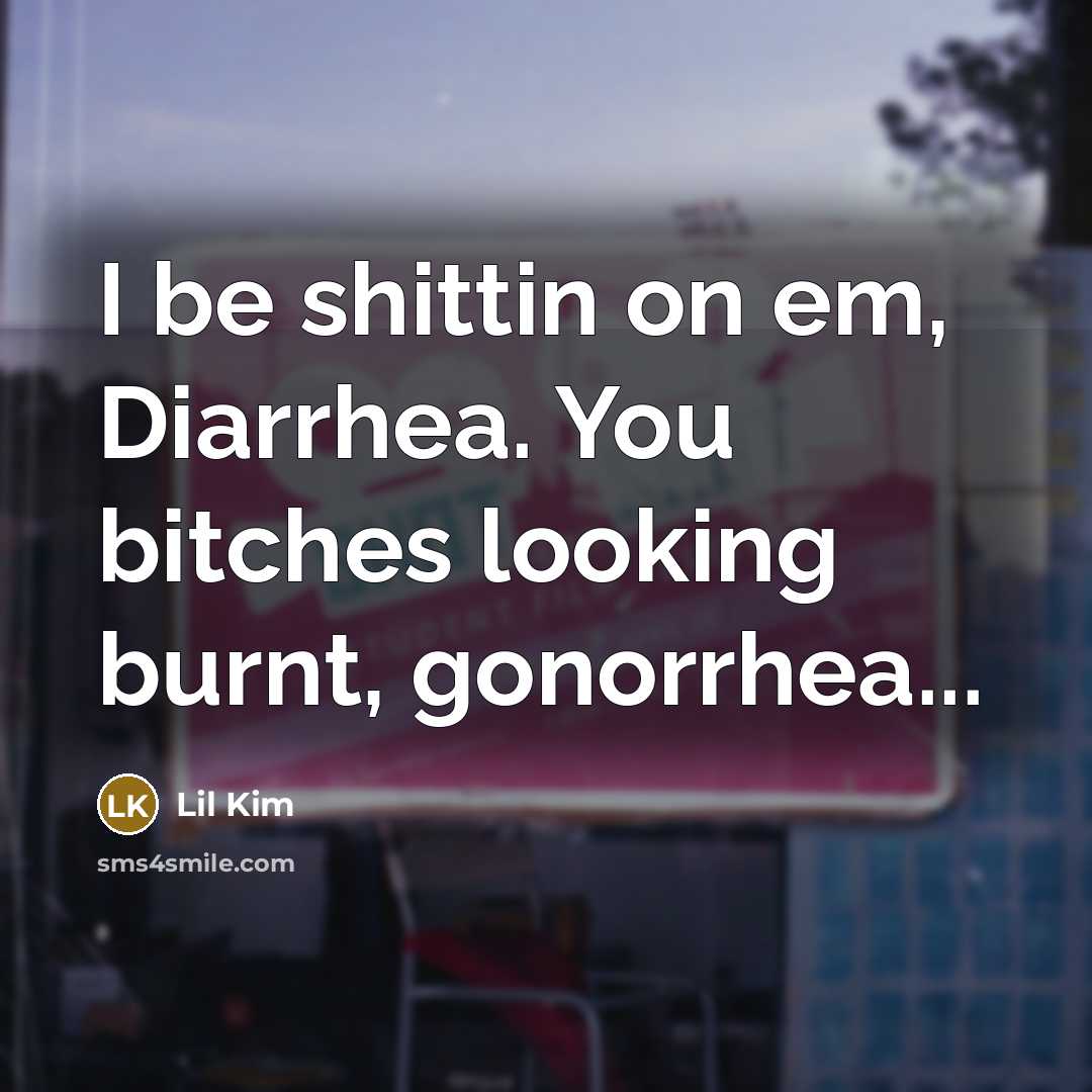 “I be shittin on em, Diarrhea. You bitches looking burnt, gonorrhea...” quote by Lil Kim