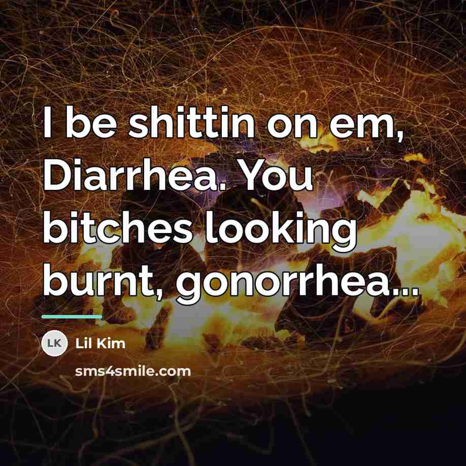 “I be shittin on em, Diarrhea. You bitches looking burnt,…” quote by Lil Kim