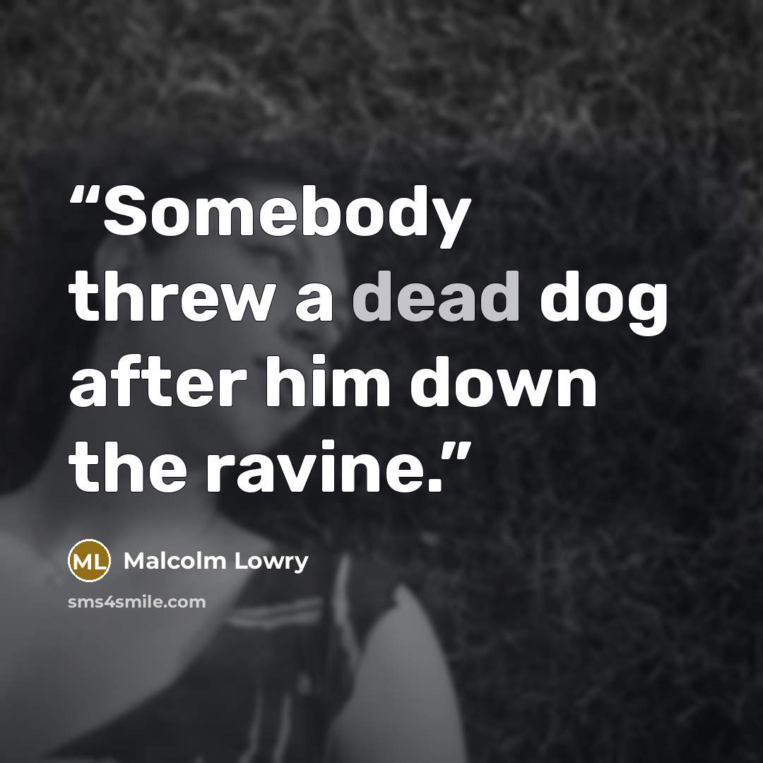 “Somebody threw a dead dog after him down the ravine.” quote by Malcolm Lowry