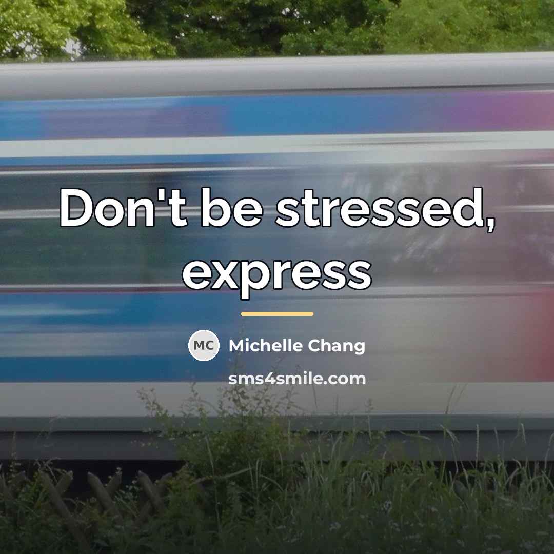 “Don't be stressed, express…” quote by Michelle Chang