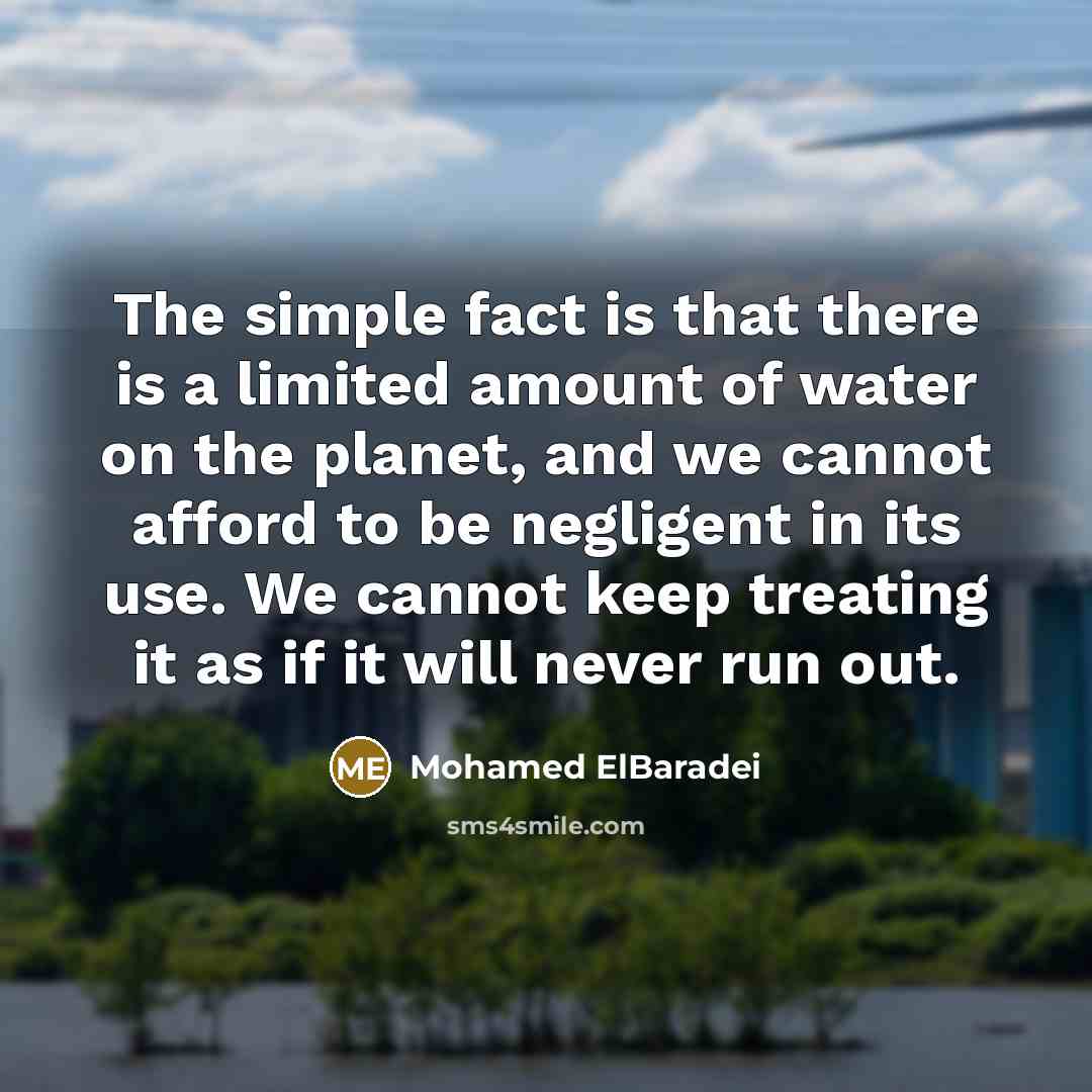 “The simple fact is that there is a limited amount…” quote by Mohamed ElBaradei