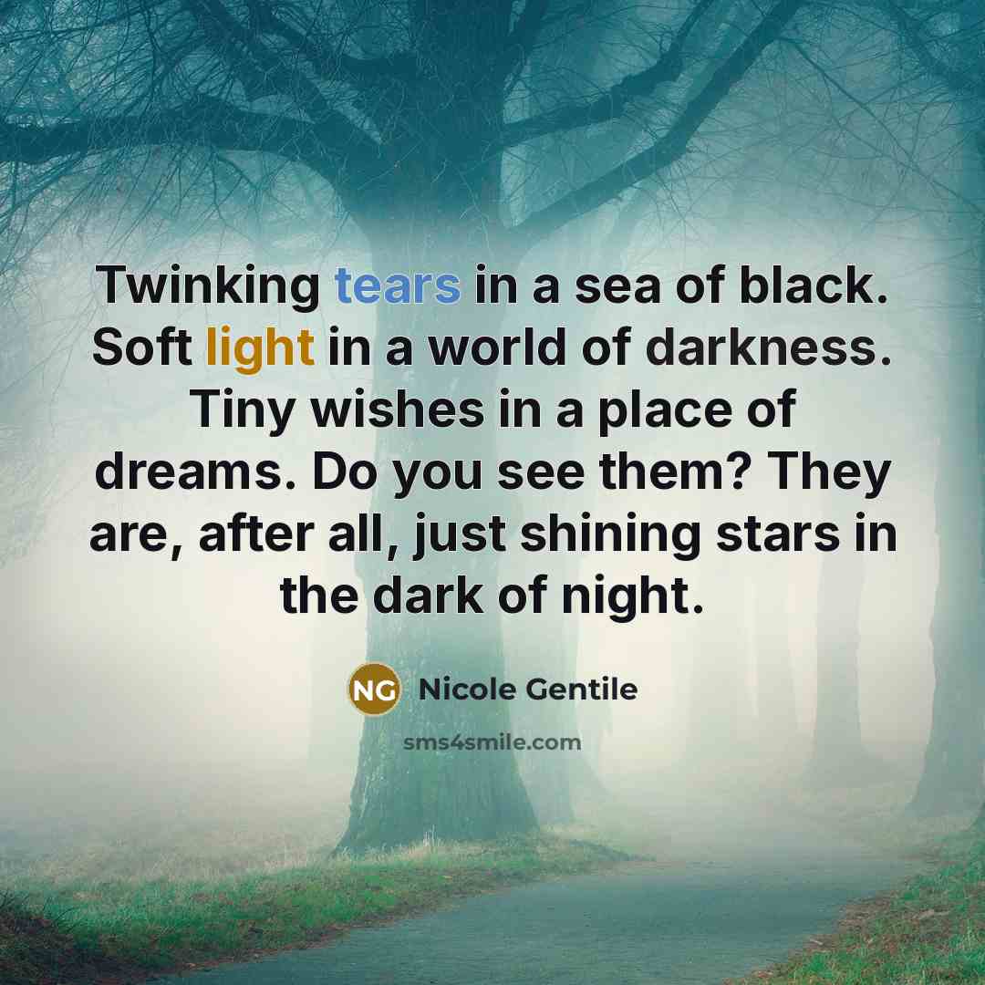 “Twinking tears in a sea of black. Soft light in a world of darkness. Tiny wishes in a place of dreams. Do you see them? They are, after all, just shining stars in the dark of night.” quote by Nicole Gentile