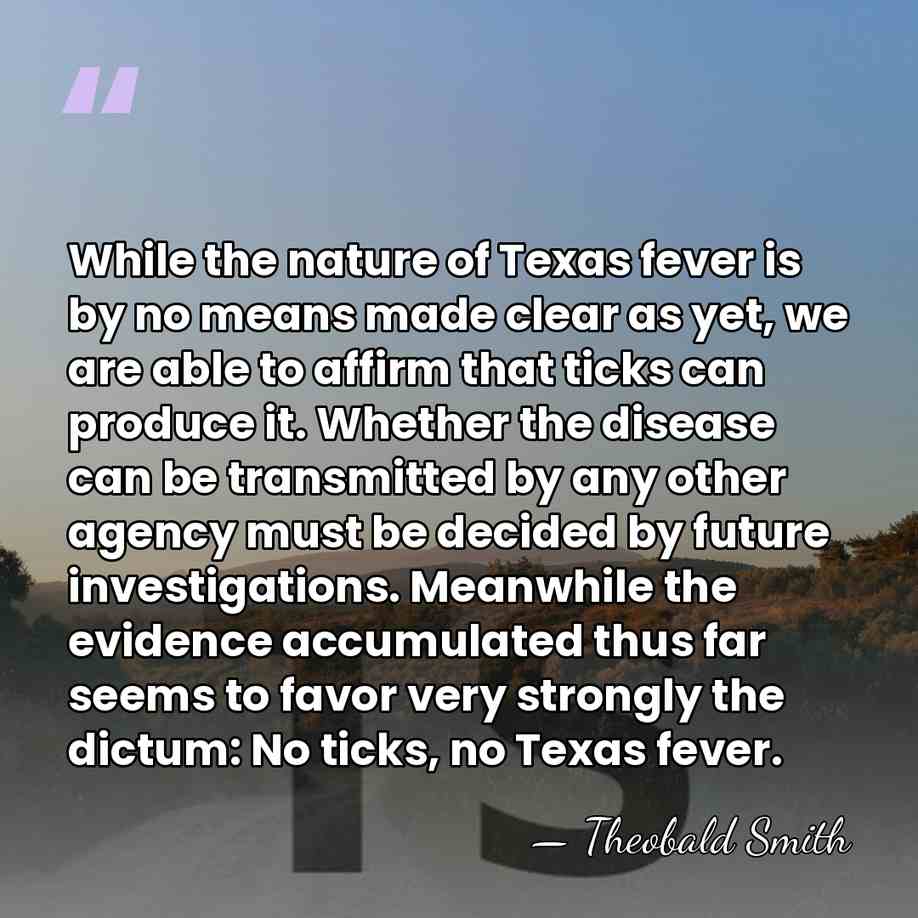 While the nature of Texas fever is by no means made clear&hellip; - Theobald Smith