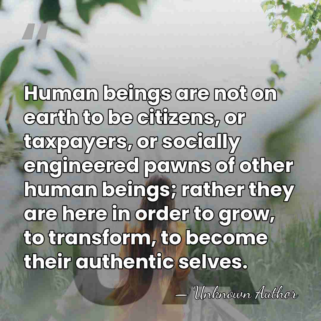 Human beings are not on earth to be citizens, or taxpayers, or&hellip; - Stephan A. Hoeller