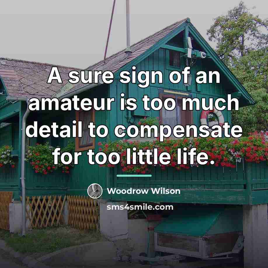 “A sure sign of an amateur is too much detail…” quote by Woodrow Wilson