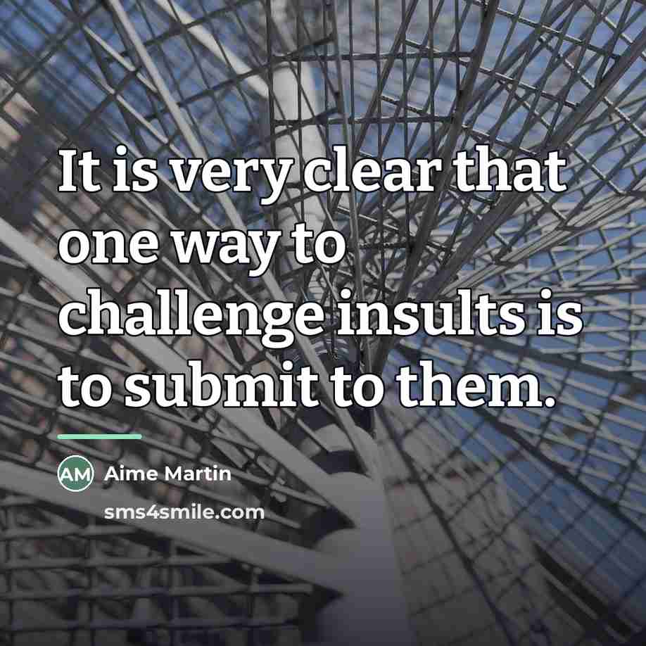 “It is very clear that one way to challenge insults…” quote by Aime Martin