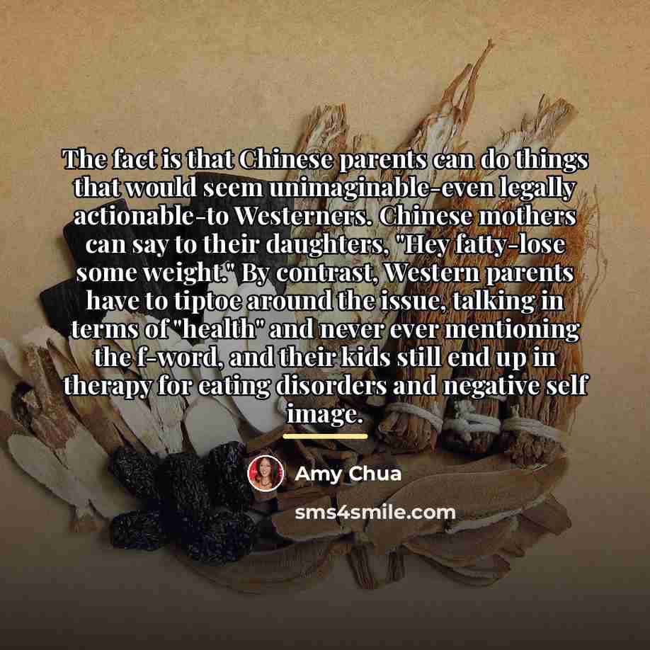 “The fact is that Chinese parents can do things that…” quote by Amy Chua