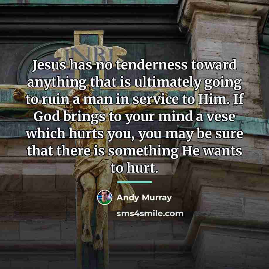 “Jesus has no tenderness toward anything that is ultimately going…” quote by Andy Murray